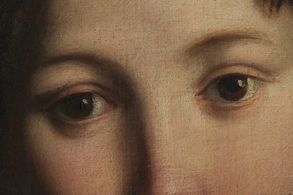 Flora - Galleria e Museo Estense, Modena, dettaglio